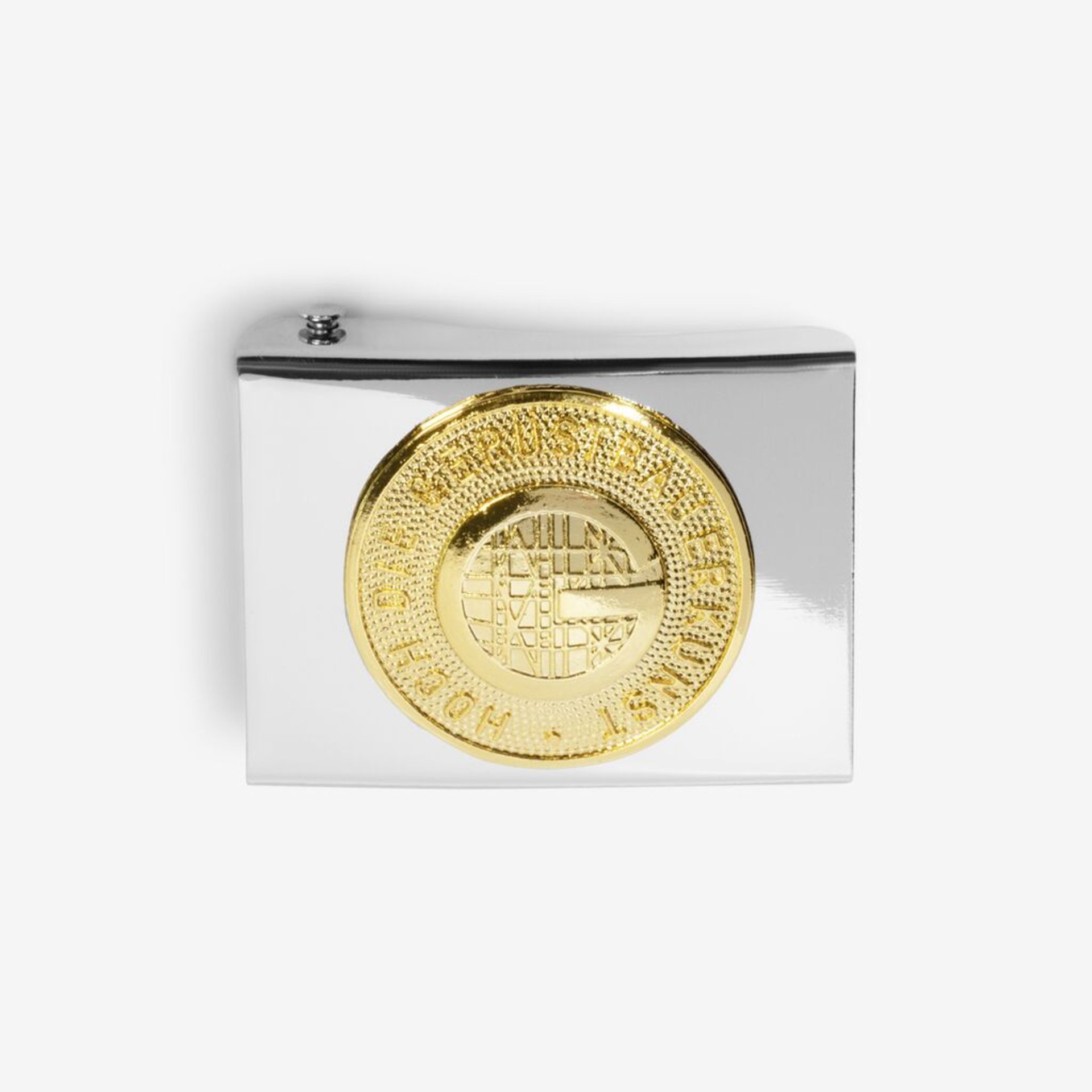 knee, coin, metal, gold-colored, lockbox