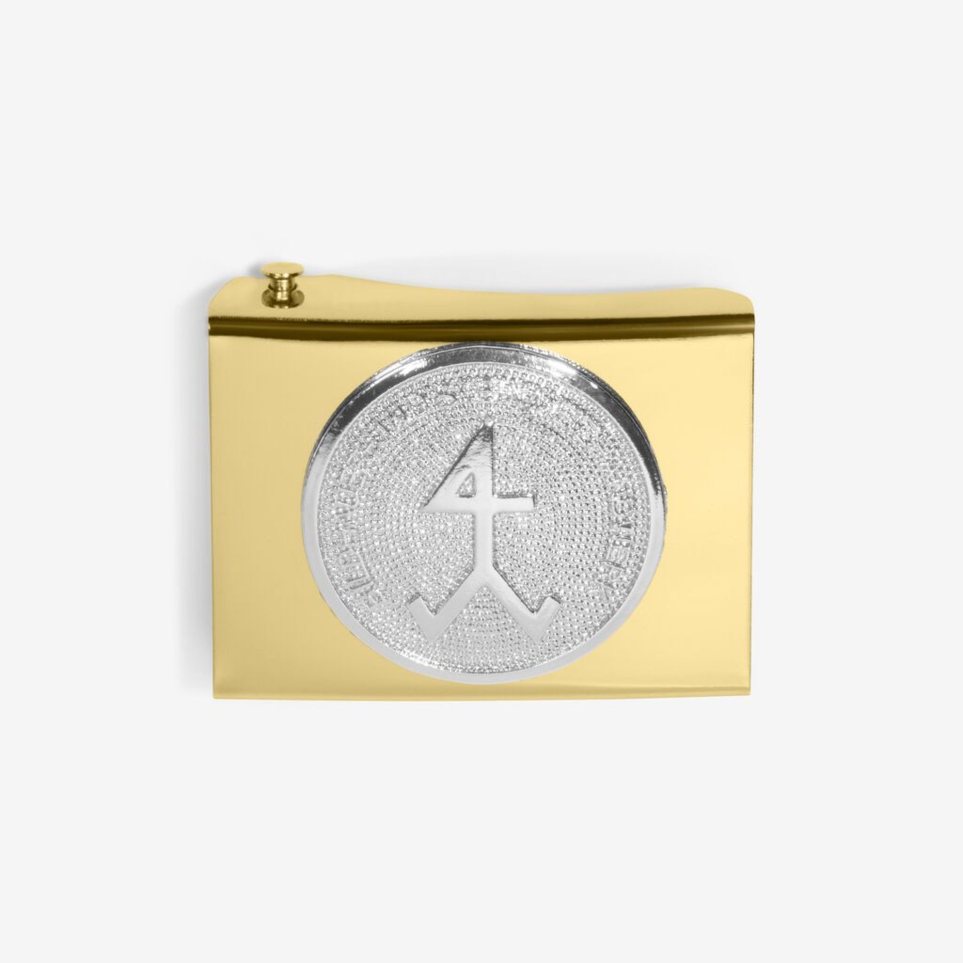 clutch, gold, pendant, coin, silver disk